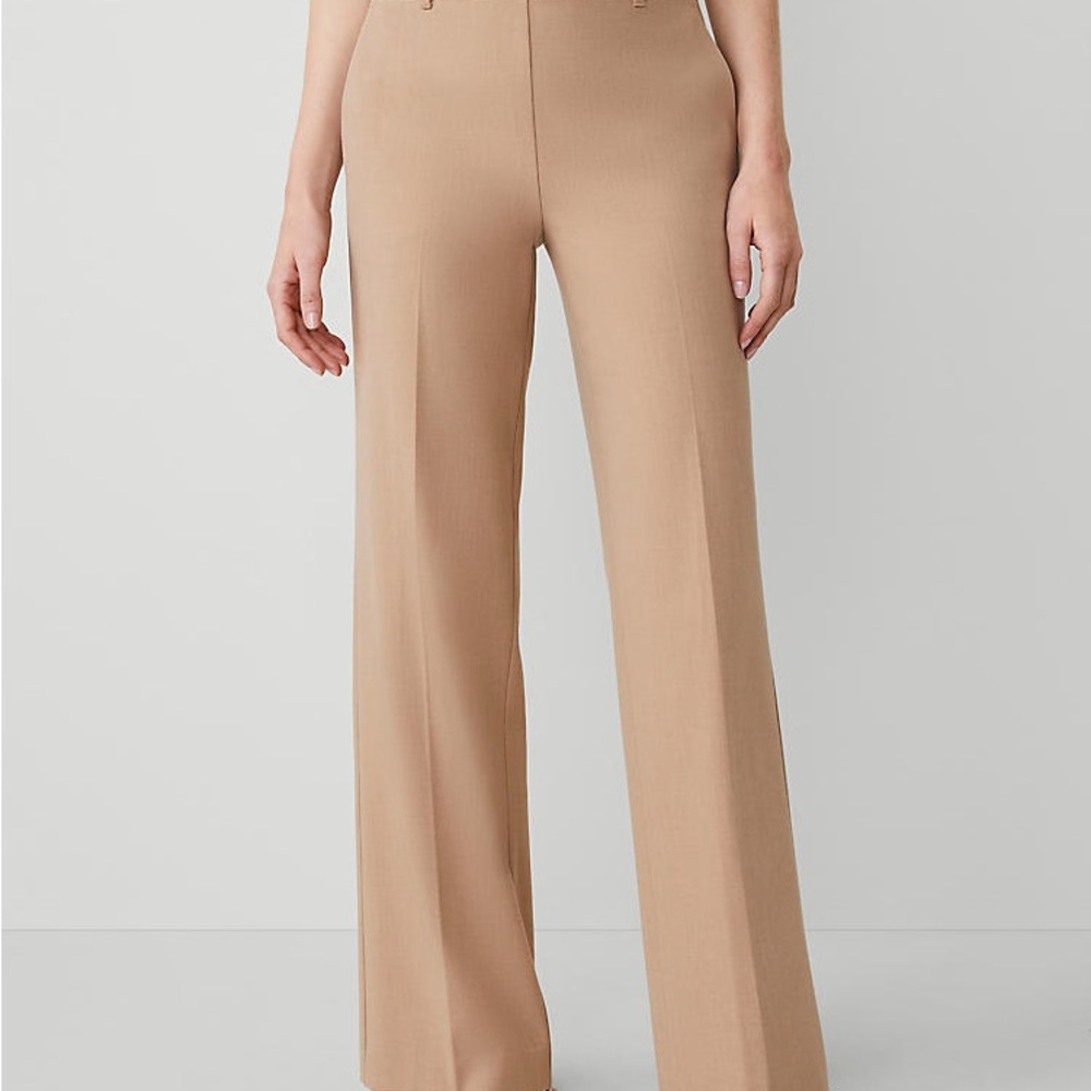 Ann Taylor Tan Wide-Leg Women's Pants 6Tall